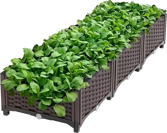 Cultivare confortabilă într-o jardinieră înălțată