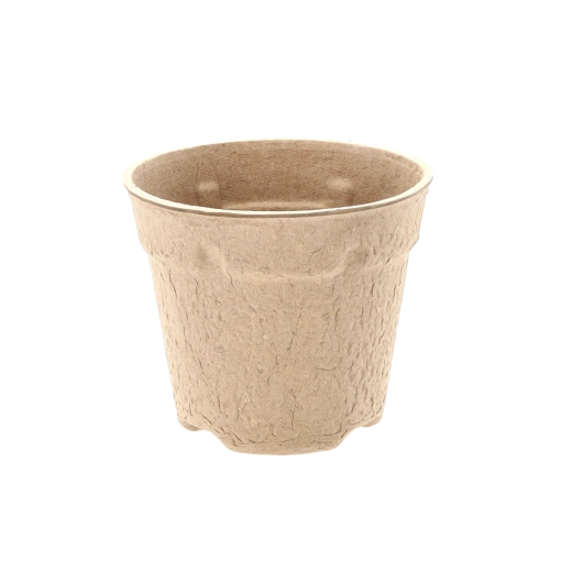 Ideal pentru răsaduri