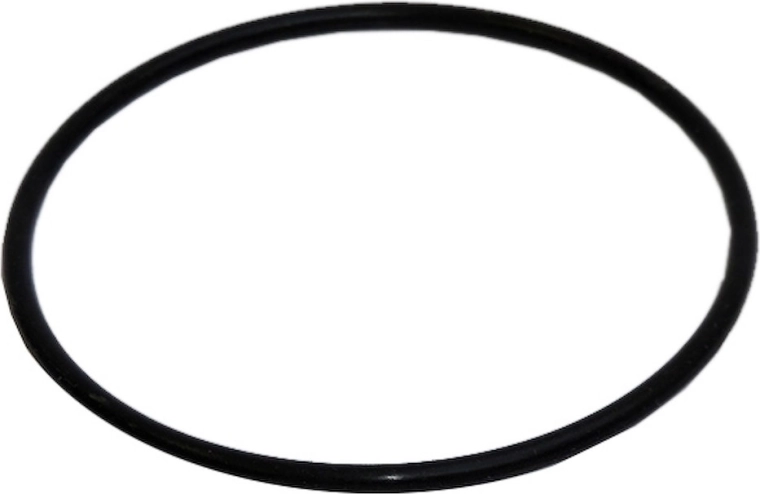 Garnitură de etanșare O-ring de schimb pentru vasul filtrului BlackStar 2 și ProStar 2