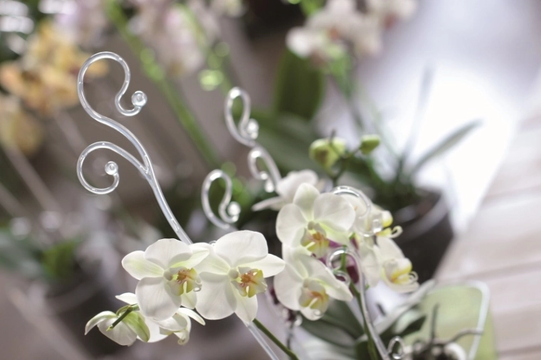 Sprijin decorativ care evidențiază frumusețea florilor