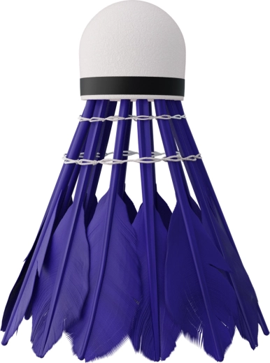 Zbor rapid și stabil cu pene de rață