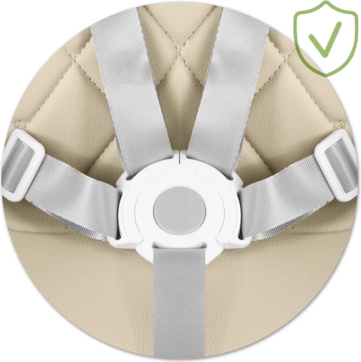 Siguranță maximă cu centura în 5 puncte