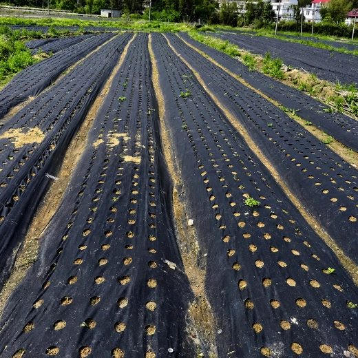 Pentru cultivare în rânduri în grădină și pe câmp