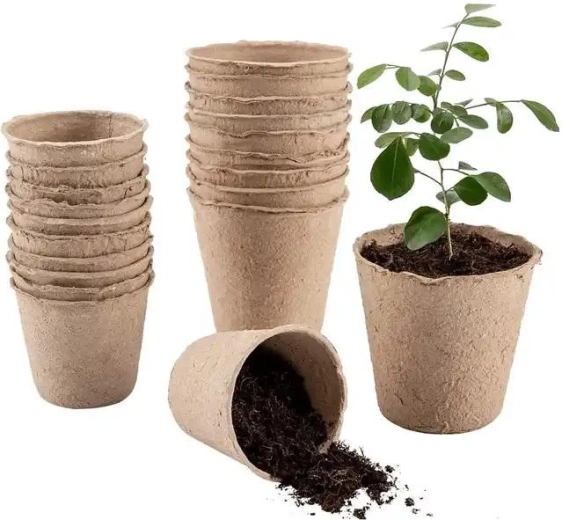 Ghivece de răsad din hârtie 6 × 6 cm, set 36 buc
