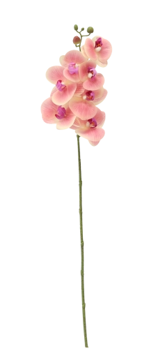 Lungime 74 cm pentru aranjamente elegante