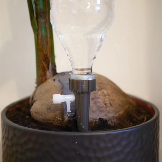 Fixare stabilă în ghiveci