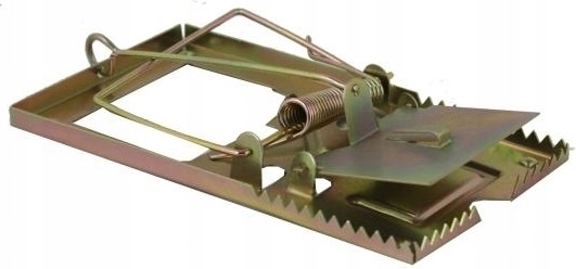 Compactă și ușor de plasat