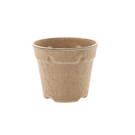 Fără stres la transplantare