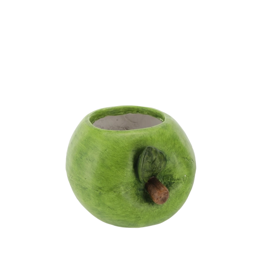 Dimensiuni ideale pentru ierburi aromatice și plante mici