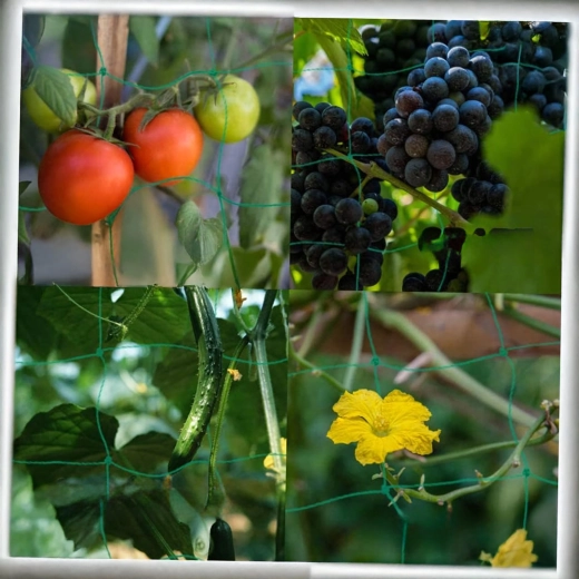 Utilizare universală în grădină și în solar