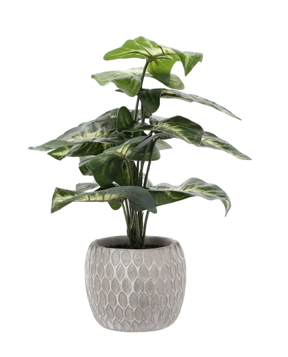 Ghiveci stilat și stabil