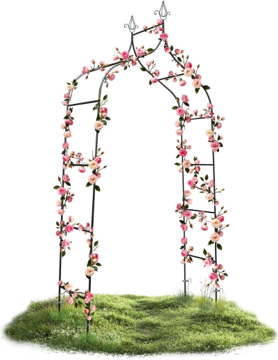 Suport perfect pentru plante cățărătoare