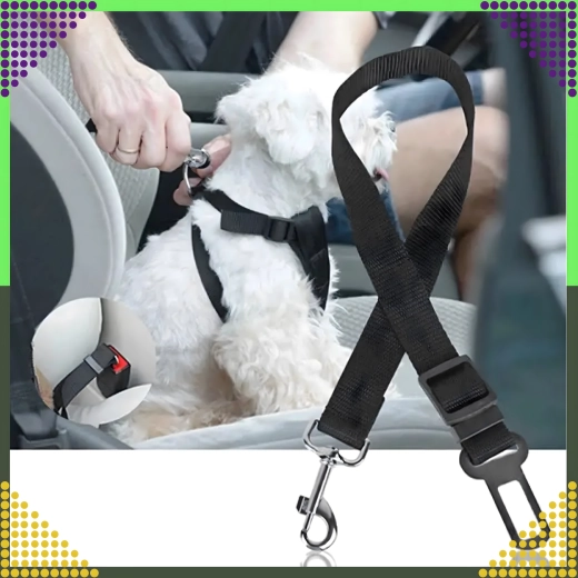 Fixare sigură de ham