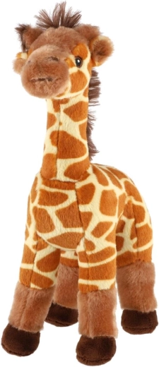 Aspect drăgălaș de girafă