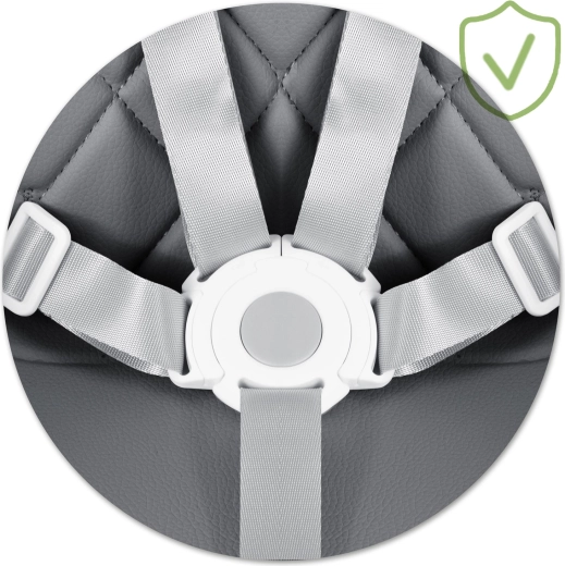 Siguranță maximă cu centură în 5 puncte