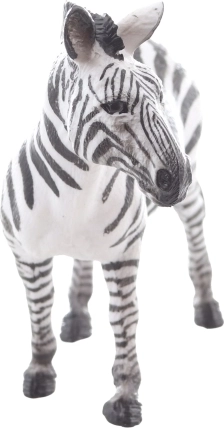 Ideală pentru predare și colecții