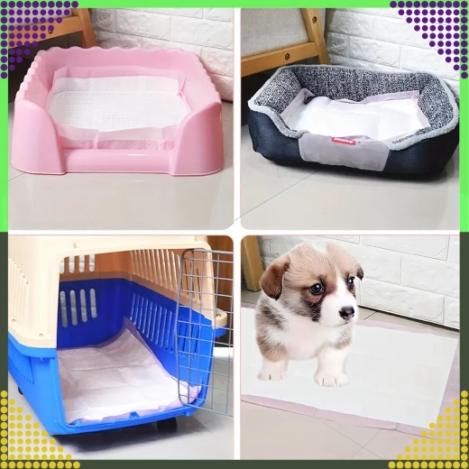 Utilizare versatilă acasă și în călătorii