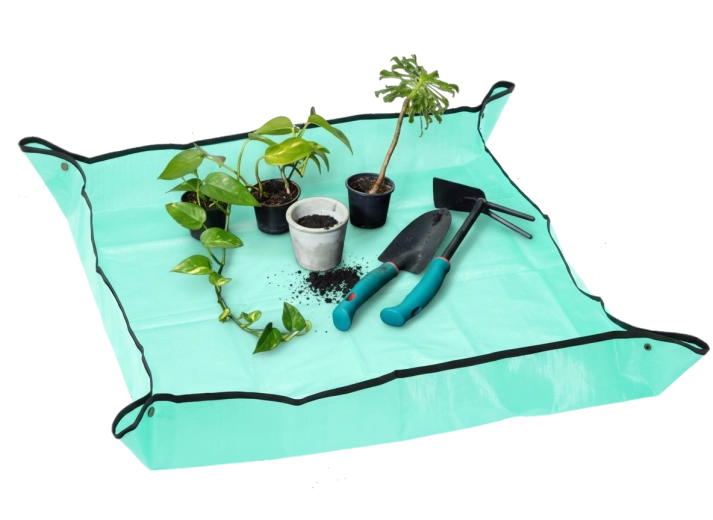 Margini înălțate pentru ordine