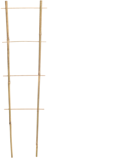 Spaliere de grădină din bambus 90 × 35 cm, diametru 10/12 mm