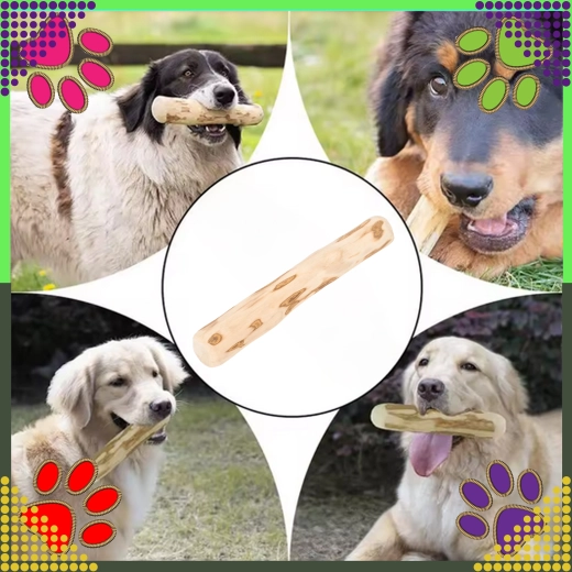 Satisface instinctul de mestecat și susține dinții