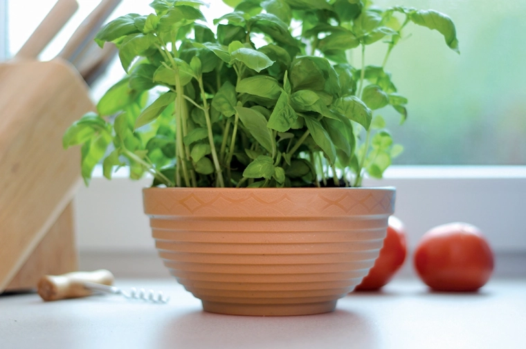 Ideală pentru ierburi și flori de sezon