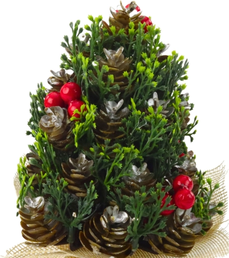 Detalii realiste ale conurilor și bobițelor