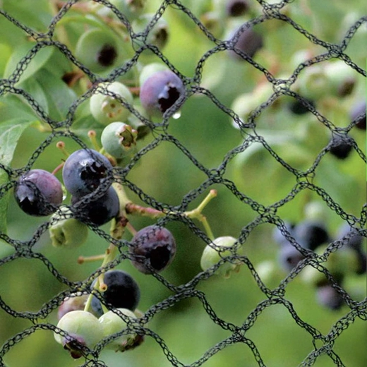 Protecție fiabilă pentru recoltă și plante