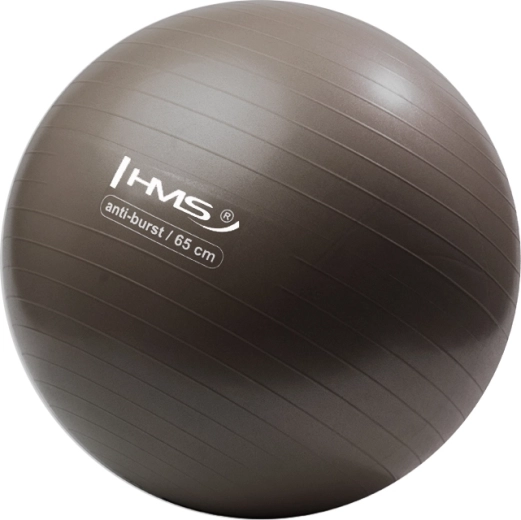 Minge gimnastică HMS 65 cm bronz