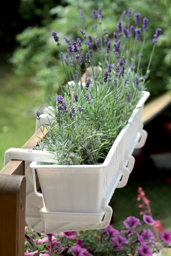 Design curat pentru orice spațiu