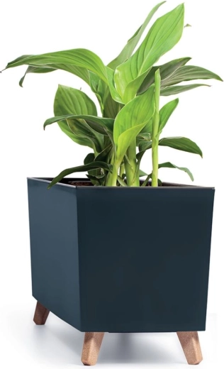 Elegantă pentru interior și exterior