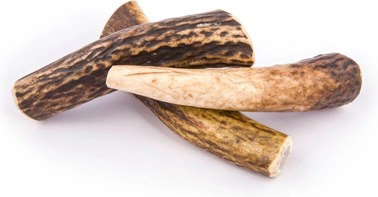 Ros de lungă durată fără miros