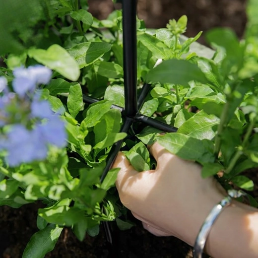 Suport stabil pentru o înflorire bogată