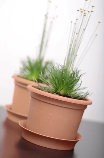 Aspect elegant pentru orice spațiu