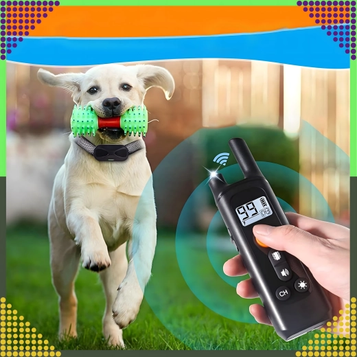 Rază de până la 800 m pentru dresaj de încredere