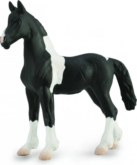 Collecta mânz baroc pinto