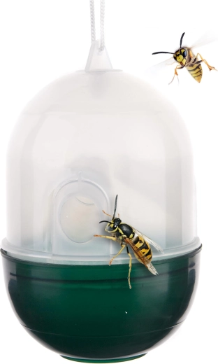 Capcană pentru viespi din plastic transparent/verde 8 × 11 cm