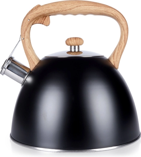 Ceainic de inox cu fluier pentru aragaz 3 l, negru Vilde