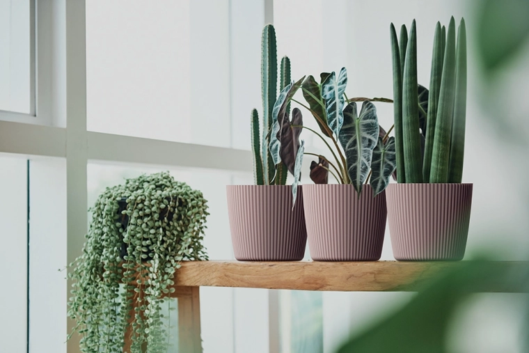 Decorațiune stilată pentru casă și balcon