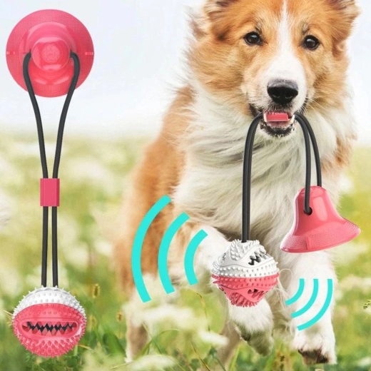 Dinți și gingii sănătoase la fiecare joacă