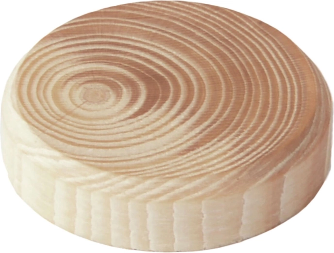 Dopuri din lemn pentru noduri 40 × 7 mm, 8 buc.