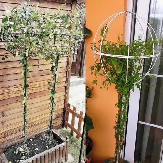 Suport metalic pentru plante cățărătoare și trandafiri 50 × 10 cm – alb