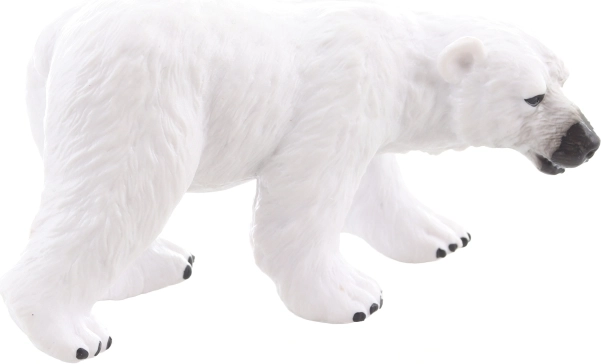 Ideal pentru colecție și expunere