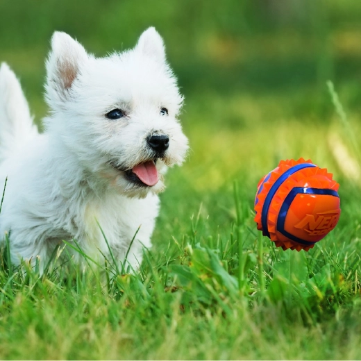 Vizibilitate ridicată în jocul în aer liber