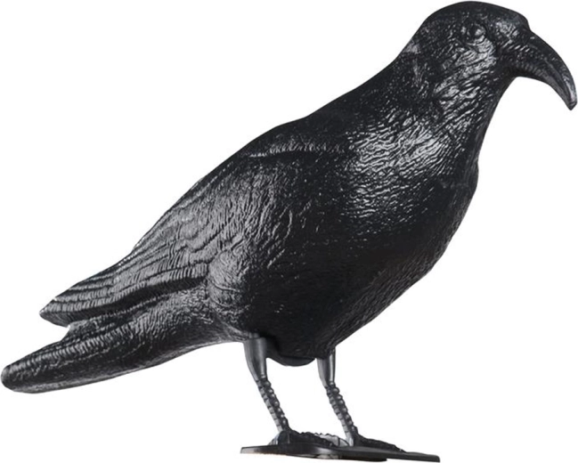 Alungător de porumbei din plastic în forma unui corb