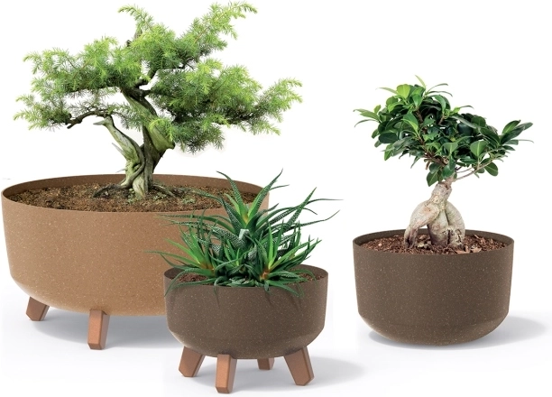 Serie stilată pentru plante variate