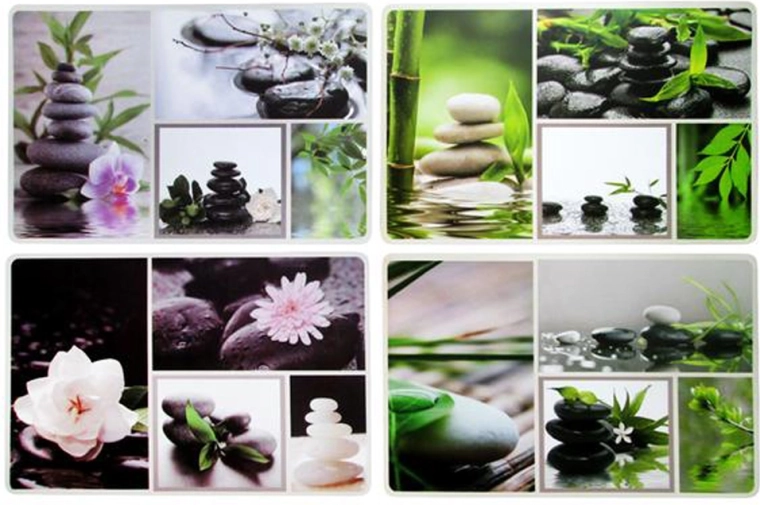 Set de masă din plastic TORO grădină, 28,5 × 44 cm, mix de modele