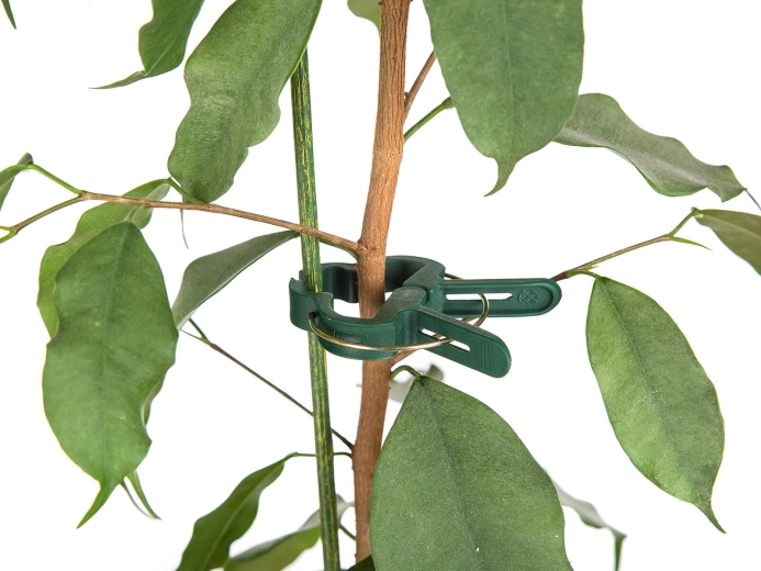 Prindere fermă și delicată a tijelor