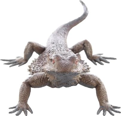 Sigură și potrivită pentru copii de la 3 ani