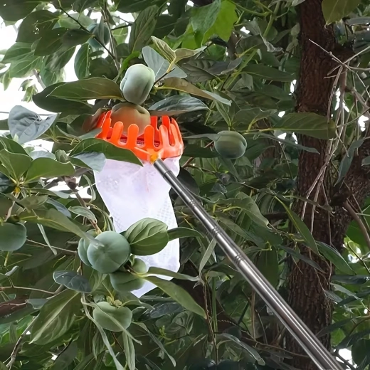 Coroană din plastic delicată și sac adânc