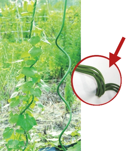 Suport spirală pentru plante 180 cm, diametru 11 mm